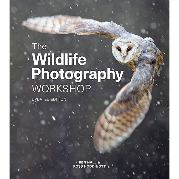Amazon.com: 60 Years of Wildlife Photographer of the Year: How